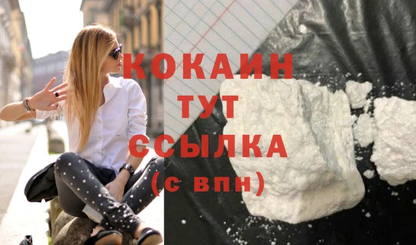 тгк Алексин
