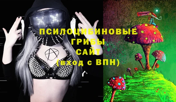 МДПВ Алзамай
