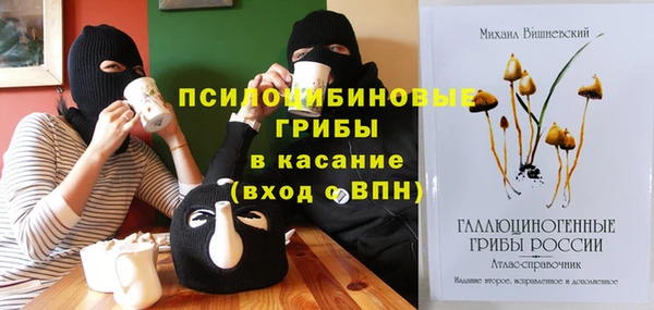 тгк Алексин