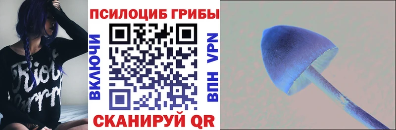 хочу   нарко площадка состав  Псилоцибиновые грибы Psilocybine cubensis  Игарка 